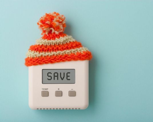 Thermostat that reads 